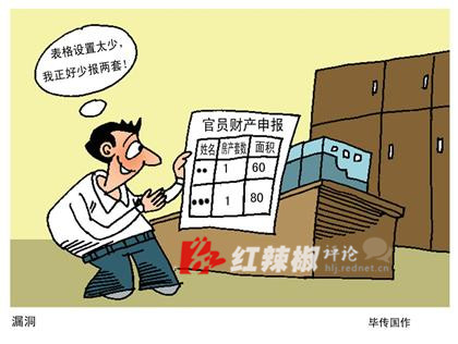 (官员财产申报表格有“漏洞”)