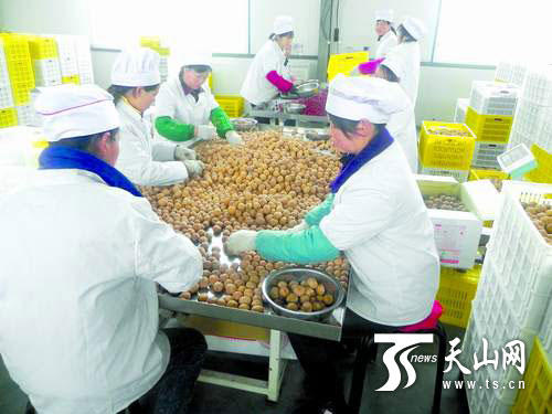 新疆2014农产品产地初加工补助项目培训班开