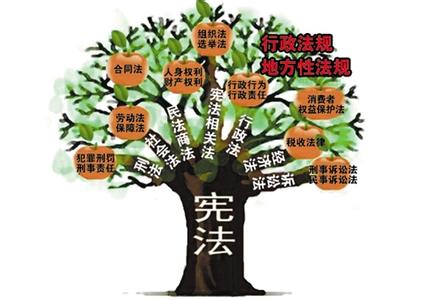 加强宪法实施:依宪治国,依宪执政