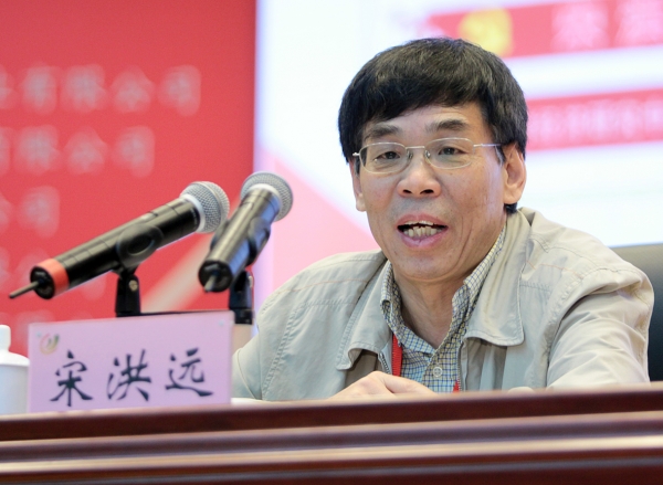 宋洪远