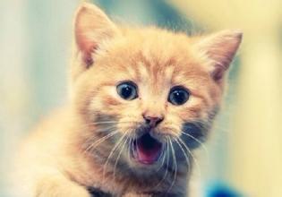 【<em>辣条</em>儿】为1.8亿,女<em>主播</em>叫板法院院长?(3)_人