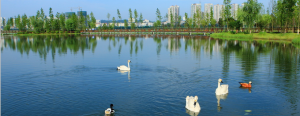 四川遂宁市启动海绵城市建设