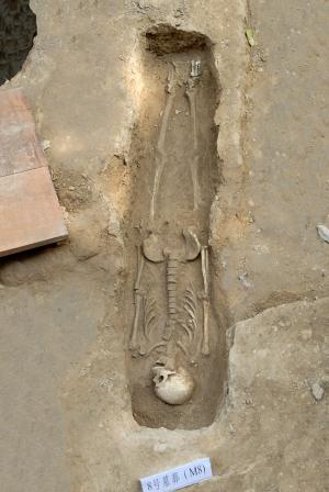 平均身高拖后腿?敢和古人比比吗(3)