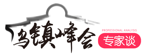 【乌镇峰会专家谈】全球网络治理的中国观点