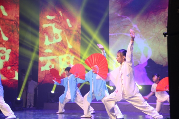 武术《中国功夫》