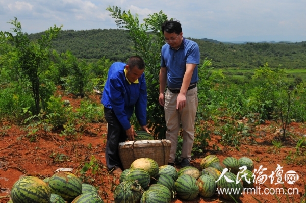 贫困户受灾 湖南东安人社局长兜底卖西瓜