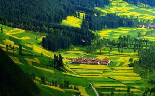 【理上网来喜迎十九大】秉持生态文明理念,大