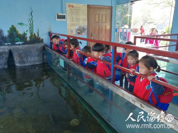 长沙同升湖实验幼儿园开启拥抱春天乐享自然