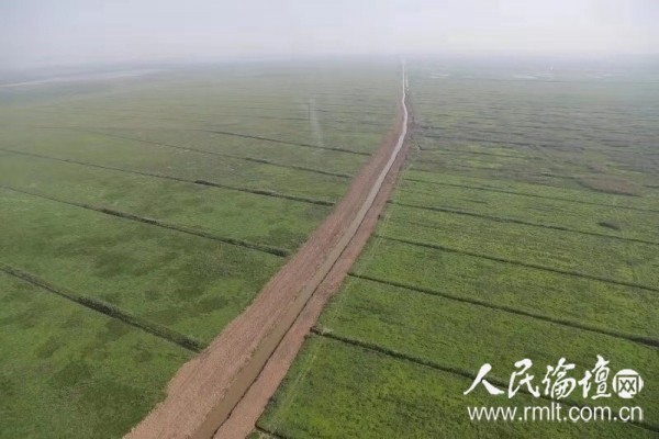 图：航务工程公司施工区域航拍图