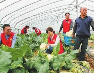 浙江省杭州市富阳区开展“最强支部”创建活动，促进基层党建规范化，激发党员干部创业热情。图为日前，该区渌渚镇机关党员以志愿服务形式开展固定主题党日活动，帮助种植户采摘蔬菜。章宇摄/光明图片