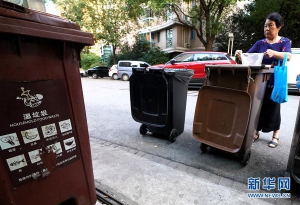 （新华视点·图文互动）（1）上海垃圾分类“满月”：“拎得清”了，“守得住”么？