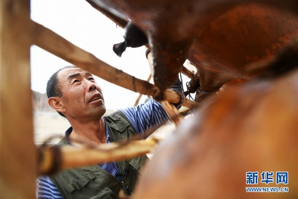 （来自一线的调查报告·图文互动）（4）“中国铜城”的美丽转身