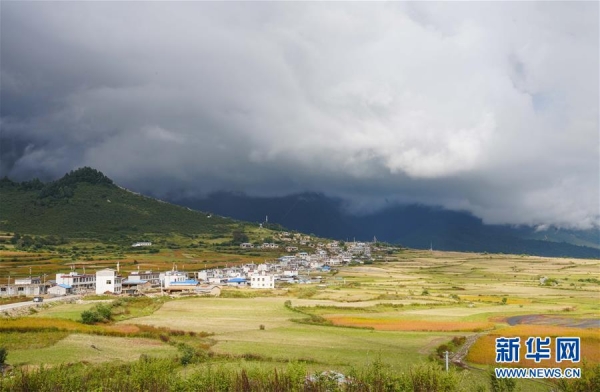 （乡村振兴·图文互动）（3）一个山村的新生——新华社记者九上乃村印象