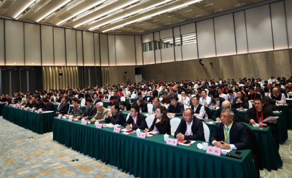 峰会盛况1