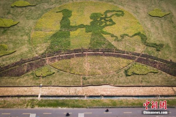 资料图：南京江宁横溪街道田野上的植被经过当地村民的精心制作，用灌木、油菜、小麦组成了该幅“董永与七仙女鹊桥相会”图。