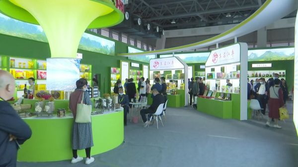 庄闲和游戏-【光明时评】一季度经济成绩单带来的“新质”气象