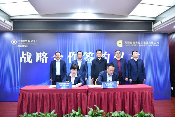 农行湖南分行与湖南省融资担保集团有限公司举行高层会谈并成功签订战略合作协议_地方聚焦_人民论坛网