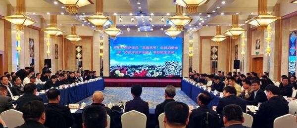 菏泽人在北京注册企业超8万家 杨晓明当选为菏泽市返乡创业(北京)服务站站长