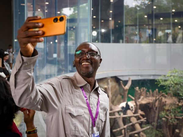 2024“一帶一路”媒體合作論壇聯(lián)合采訪調(diào)研行成員在成都大熊貓繁育研究基地參觀采訪。圖為尼日利亞每日信報(bào)傳媒集團(tuán)的伊德里斯•哈姆扎在和園區(qū)內(nèi)的大熊貓自拍合影。本報(bào)記者 伊霄 攝 2024“一帶一路”媒體合作論壇聯(lián)合采訪調(diào)研行成員在成都大熊貓繁育研究基地參觀采訪。圖為尼日利亞每日信報(bào)傳媒集團(tuán)的伊德里斯•哈姆扎在和園區(qū)內(nèi)的大熊貓自拍合影。本報(bào)記者 伊霄 攝