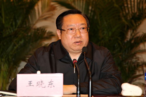 王晓东在第二届楚商大会筹备工作动员会上的讲话