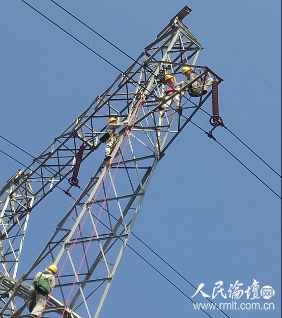 首战告捷大学生首次在运行线路上进行登杆作业