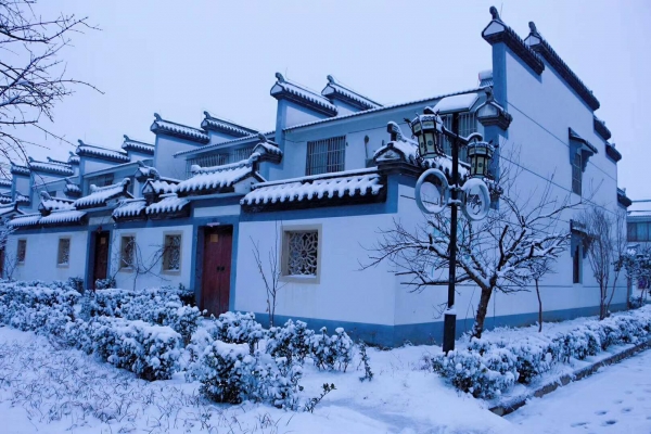 笔者随新春走基层之美丽乡村万里行采访组走进了江苏省泗洪县梅花镇