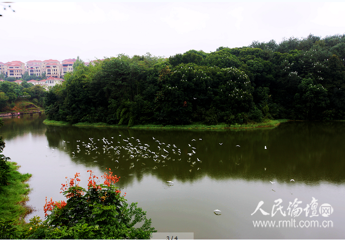 沙县:以改革创新奋力推进高质量发展