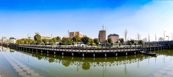 抓双轮驱动促四化同步——打造乡村振兴样本的"党湾探索"