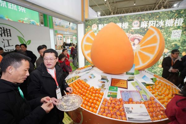 走近老司城：一段历史长河中的璀璨明珠