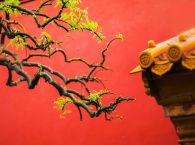 二〇二五年中国考古新成果