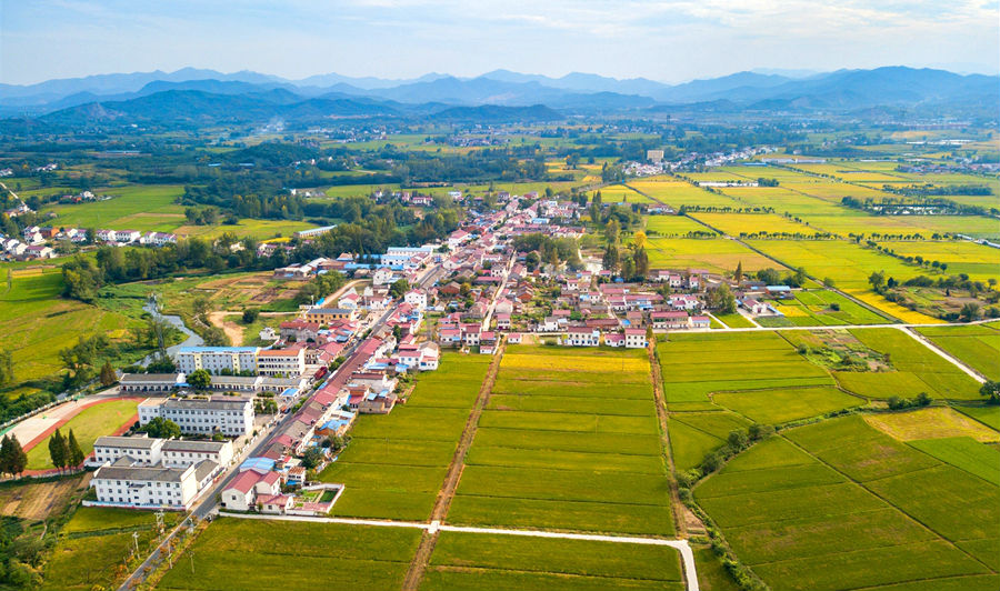 安徽六安舒茶镇:美丽乡村景色新