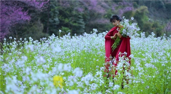 用公益照亮他人网友偶遇李子柒参加善行者公益徒步活动