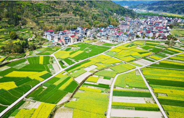 浙江永嘉碧莲镇以一村一诗打造美丽古镇