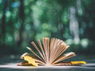 素人写作，连接你我