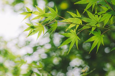 合力守护“少年的你”