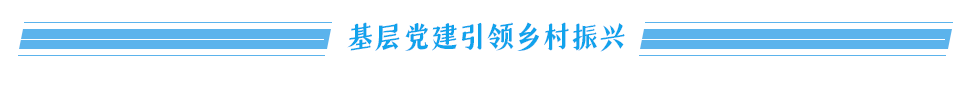基层党建引领乡村振兴 基层党建引领乡村振兴
