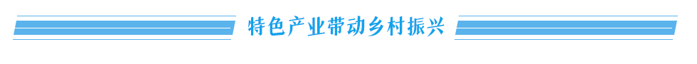 特色产业带动乡村振兴 特色产业带动乡村振兴