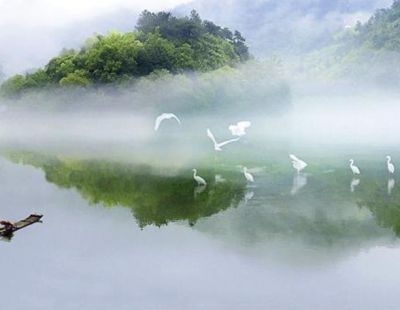 湖南下坪村：大树底下讲故事