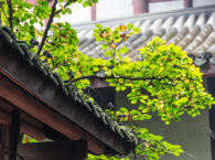 让节气文化传承更接地气