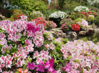 从有到优的“诗和远方”