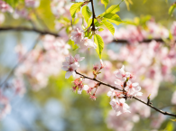 55条线路串起乡村美景