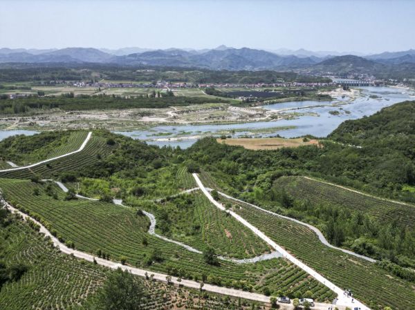 DJI_0341_1