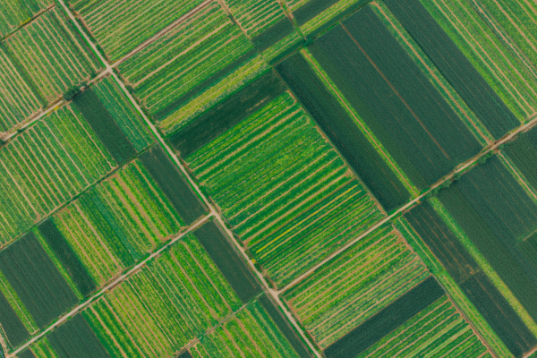 DJI_20250620162125_0064_D