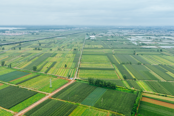 DJI_20250620162017_0060_D