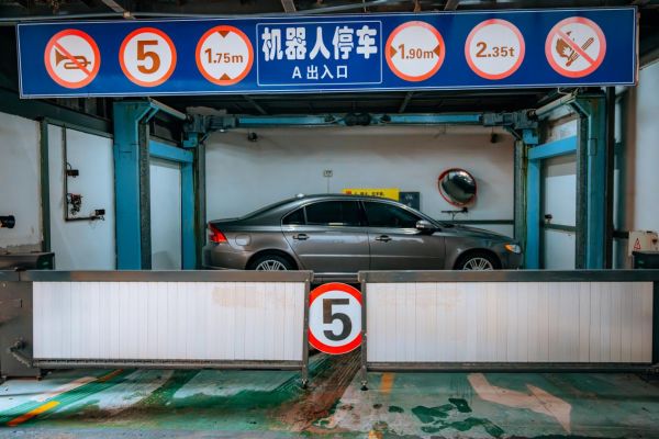DSC_5181-已增强-NR