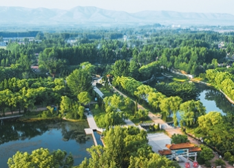 田园新场景带热文旅消费