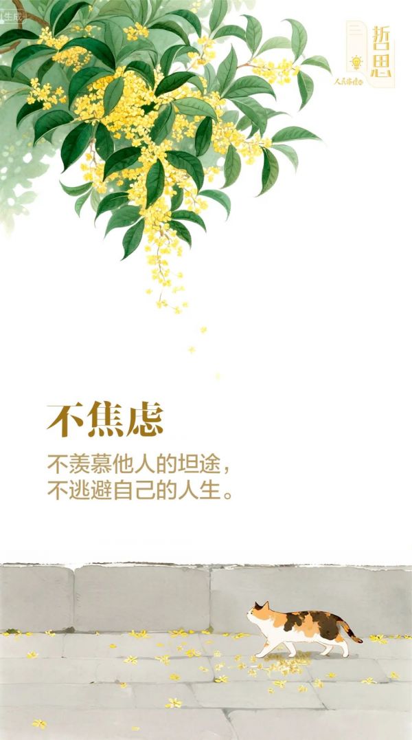 哲思2