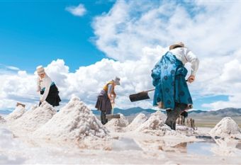千年盐业变身致富产业链