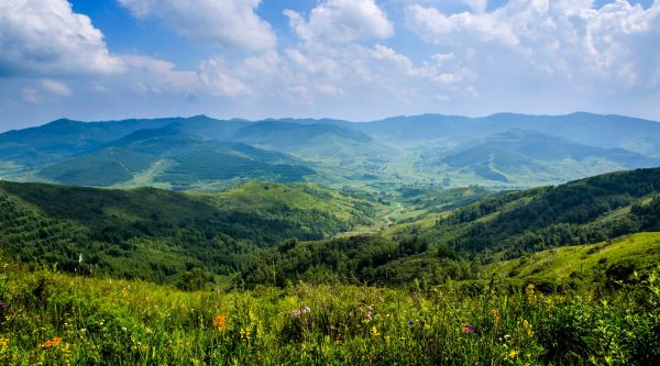 饮马池山 碧草连天。