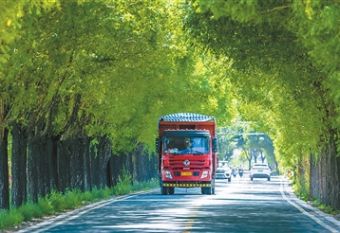 让农村道路更好走
